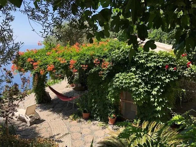 Secret Garden In Nocelle Positano